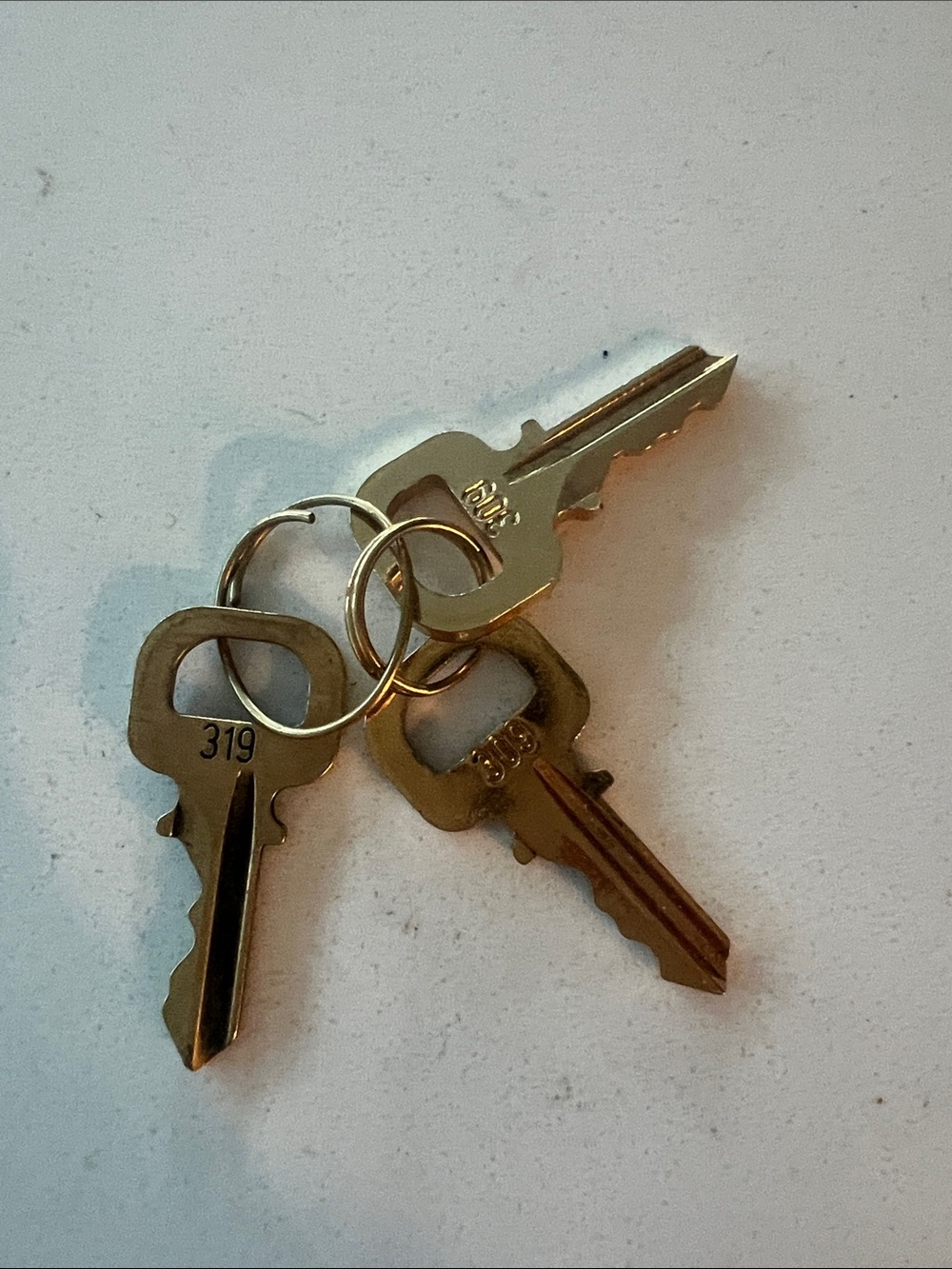 Louis Vuitton keys authentic